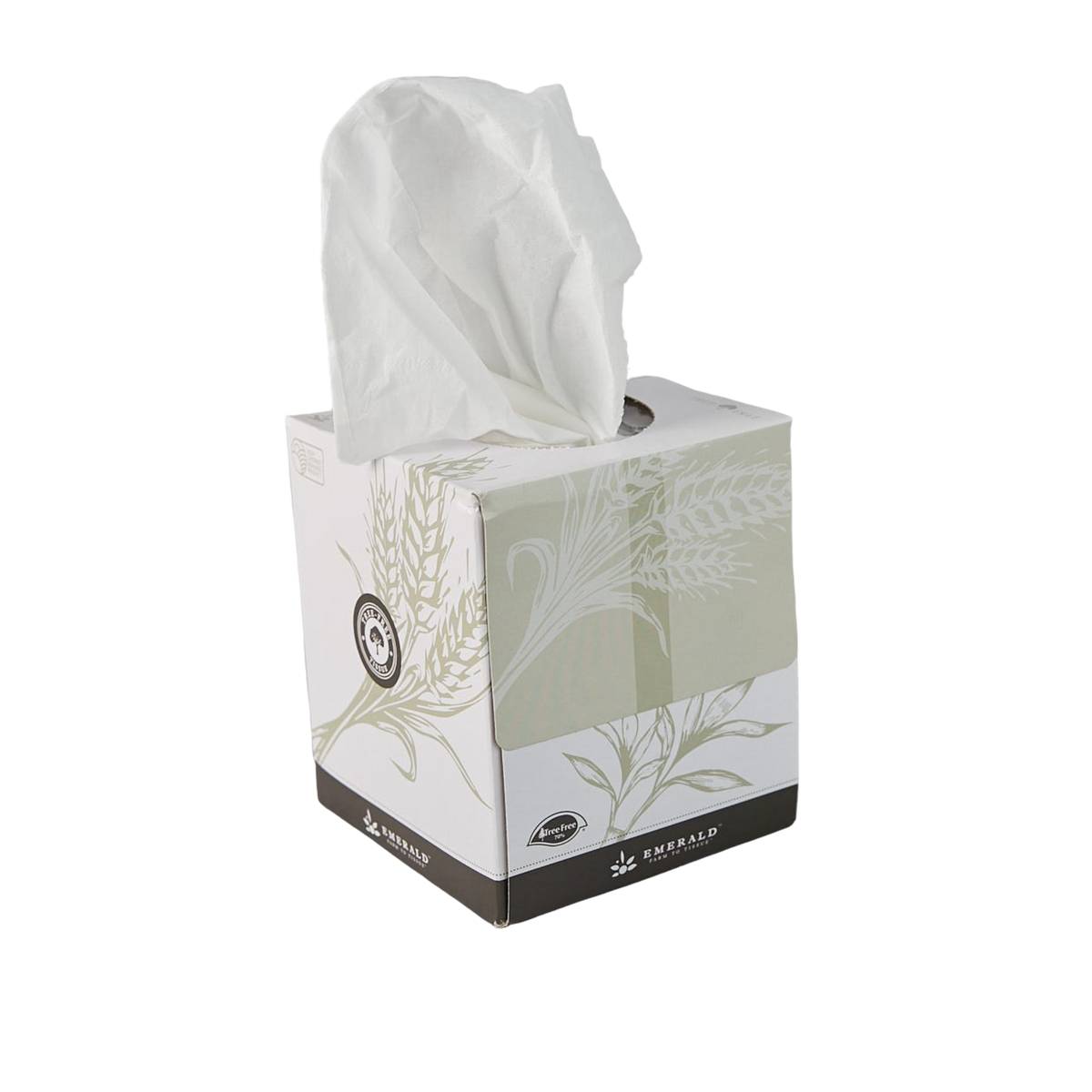 Tree-Free Compostable 2-Ply Facial Tissue, Boutique Box – Emerald