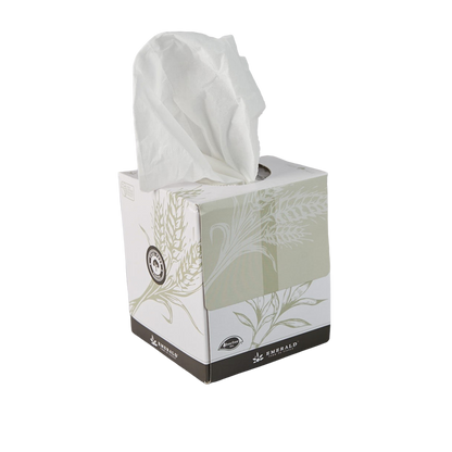 Tree-Free Compostable 2-Ply Facial Box Tissue