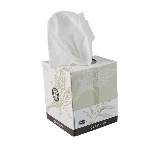 Tree-Free Compostable 2-Ply Facial Tissue, Boutique Box