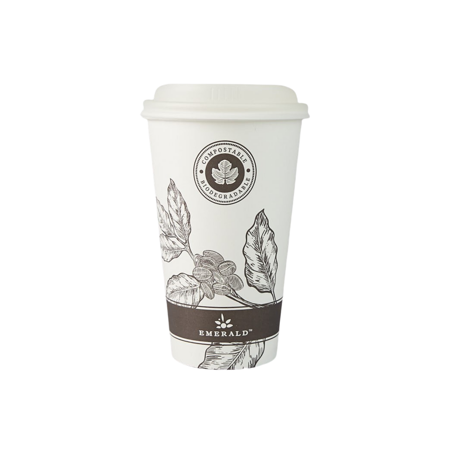 16 oz FSC Compostable Hot Cup 