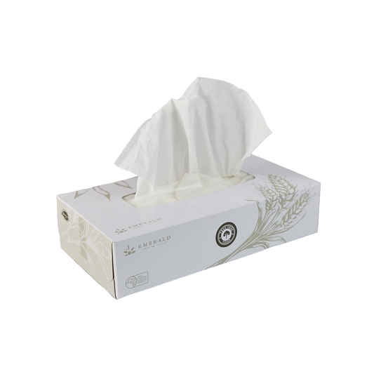 Tree-Free Compostable Facial Tissues - Flat Box